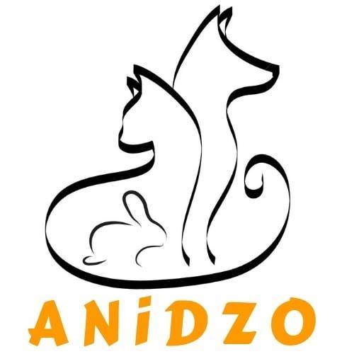 ANiDZO